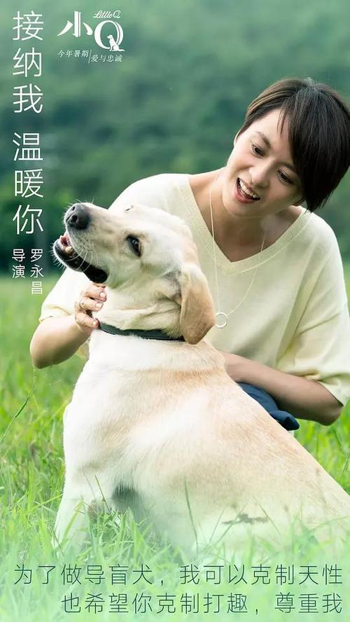 不动产证抵押登记快速